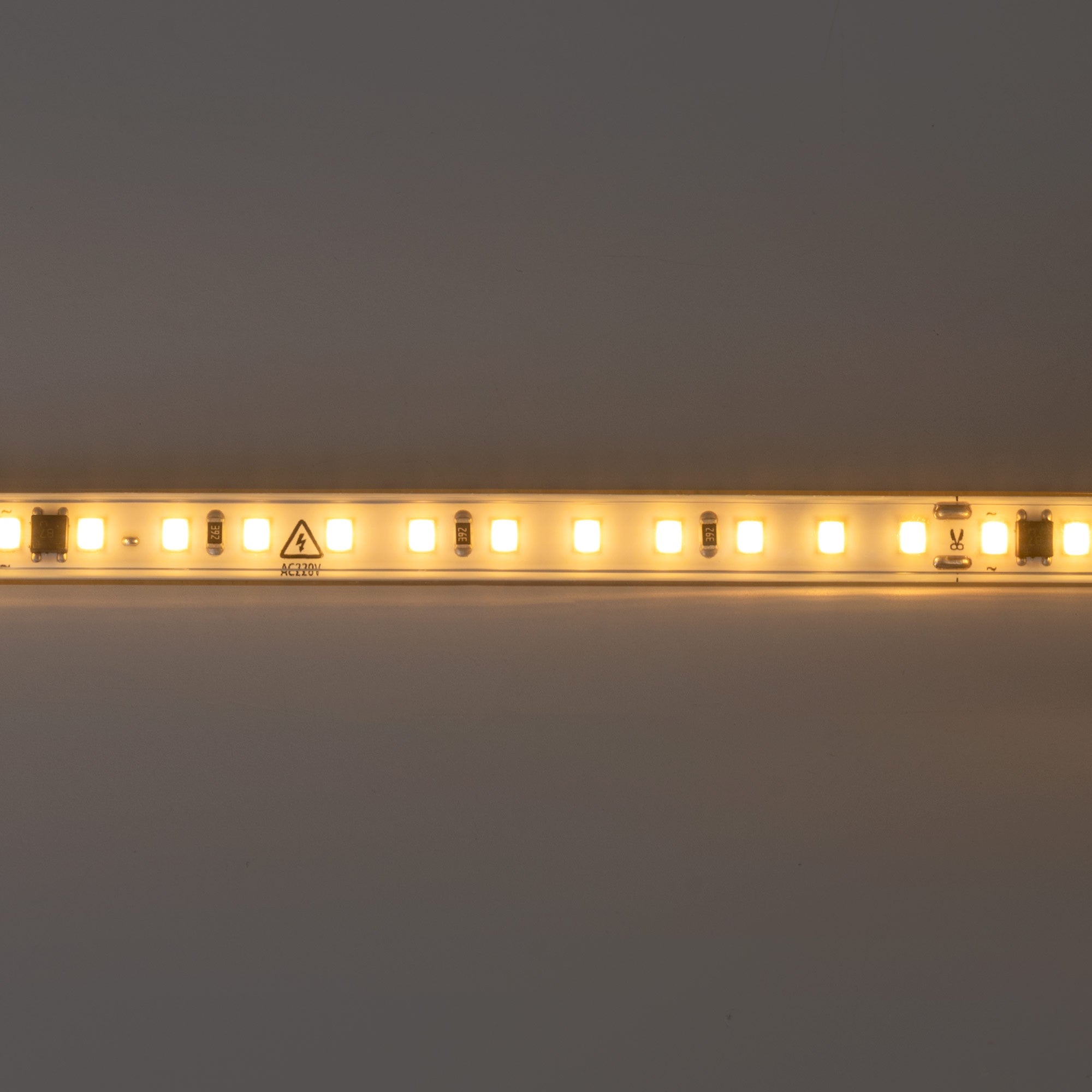 Tira LED 220V AC - Monocolor - 8W/m - 10mm - IP65 - 50 metros - 120ch/m