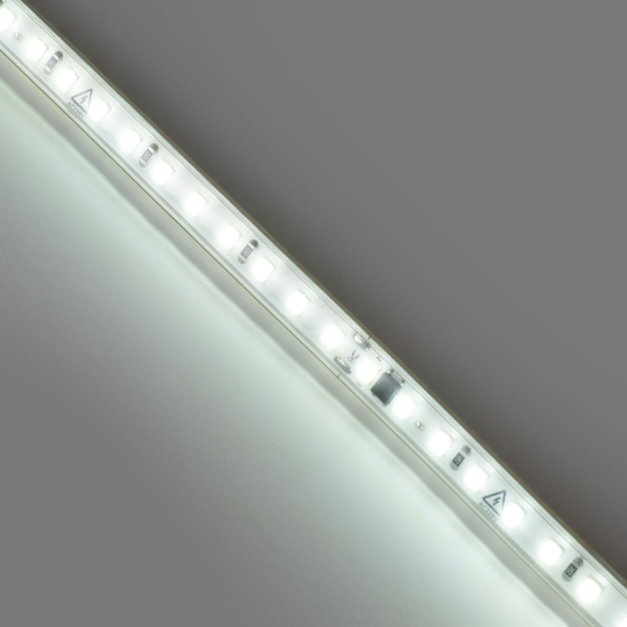 Tira LED 220V AC - Monocolor - 8W/m - 10mm - IP65 - 10 metros - 120ch/m
