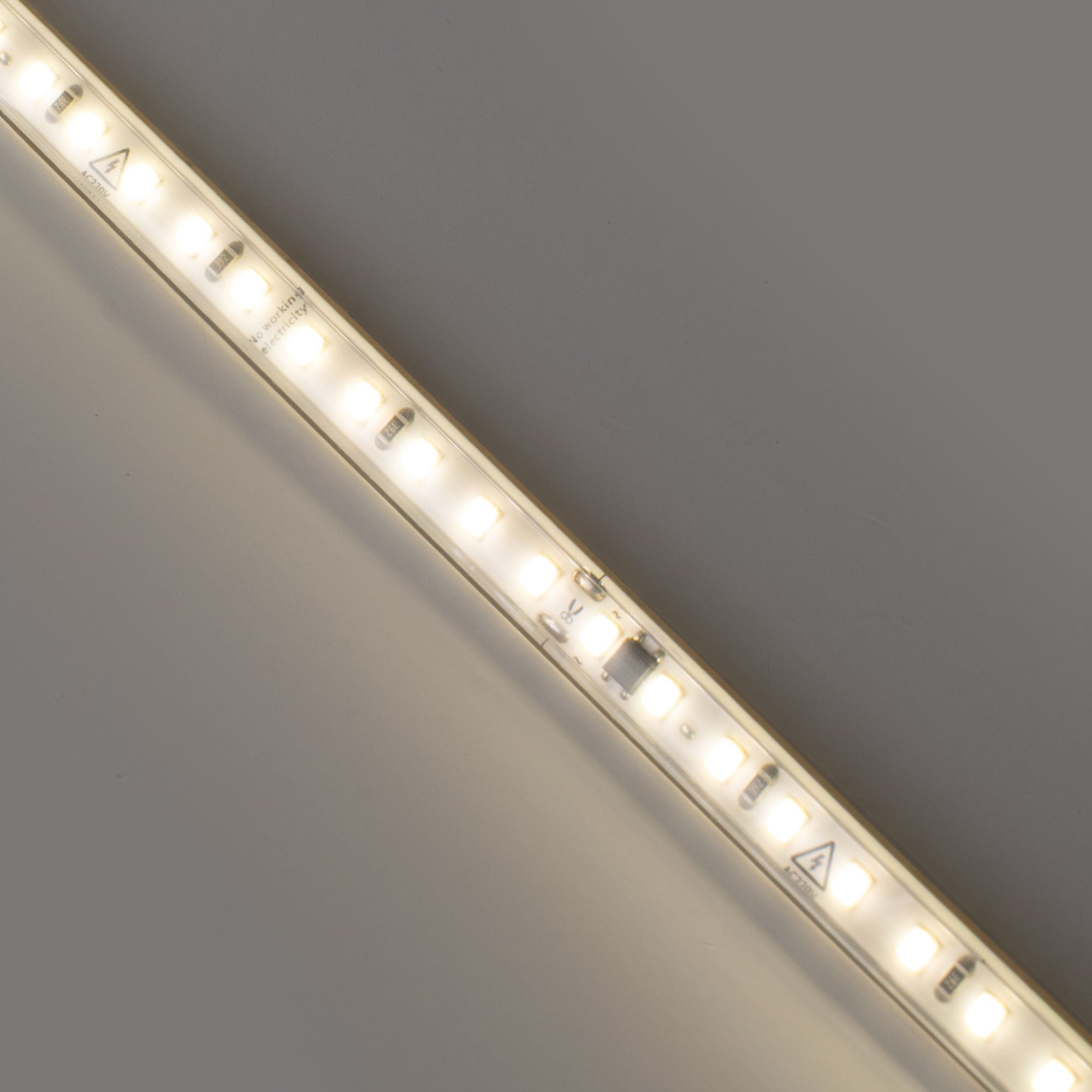 Tira LED 220V AC - Monocolor - 8W/m - 10mm - IP65 - 50 metros - 120ch/m