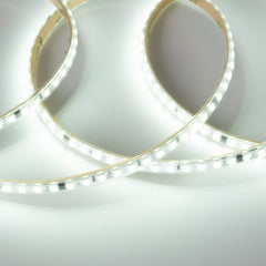 Tira LED 220V AC - Monocolor - 8W/m - 10mm - IP65 - 5 metros - 120ch/m