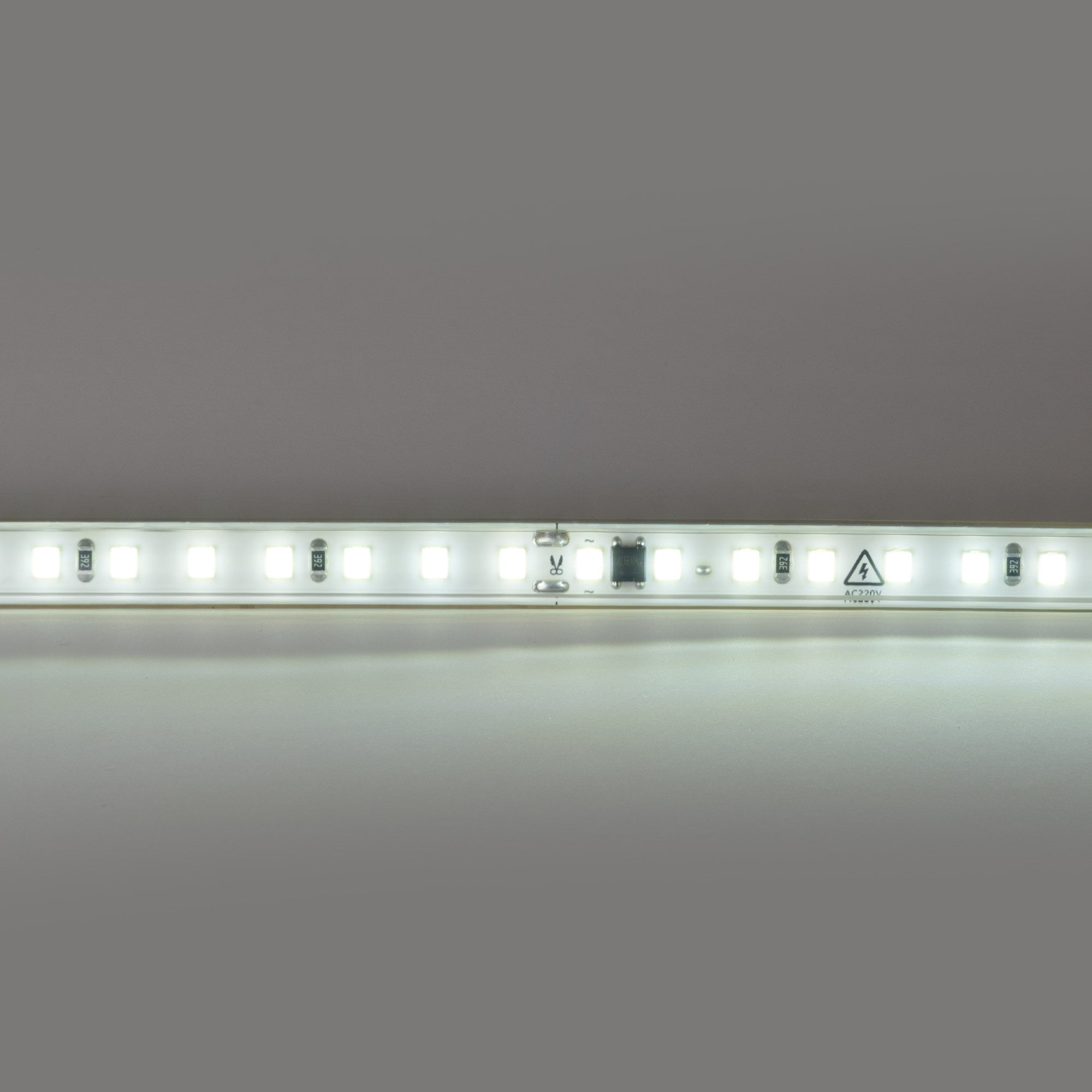 Tira LED 220V AC - Monocolor - 8W/m - 10mm - IP65 - 5 metros - 120ch/m
