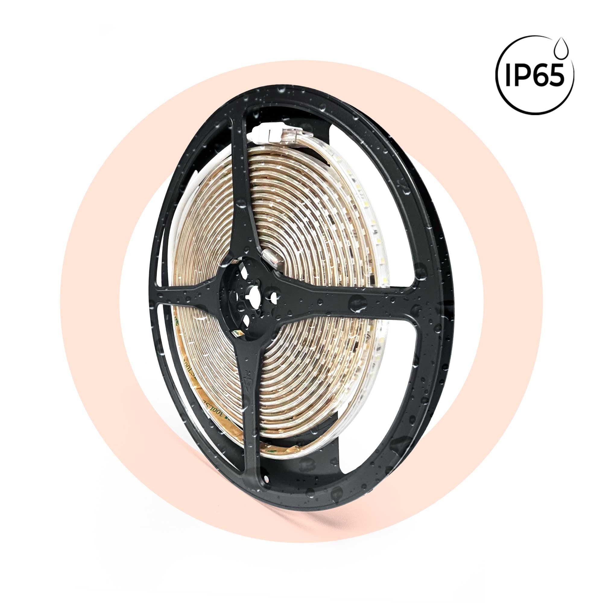 Tira LED 220V AC - Monocolor - 8W/m - 10mm - IP65 - 5 metros - 120ch/m