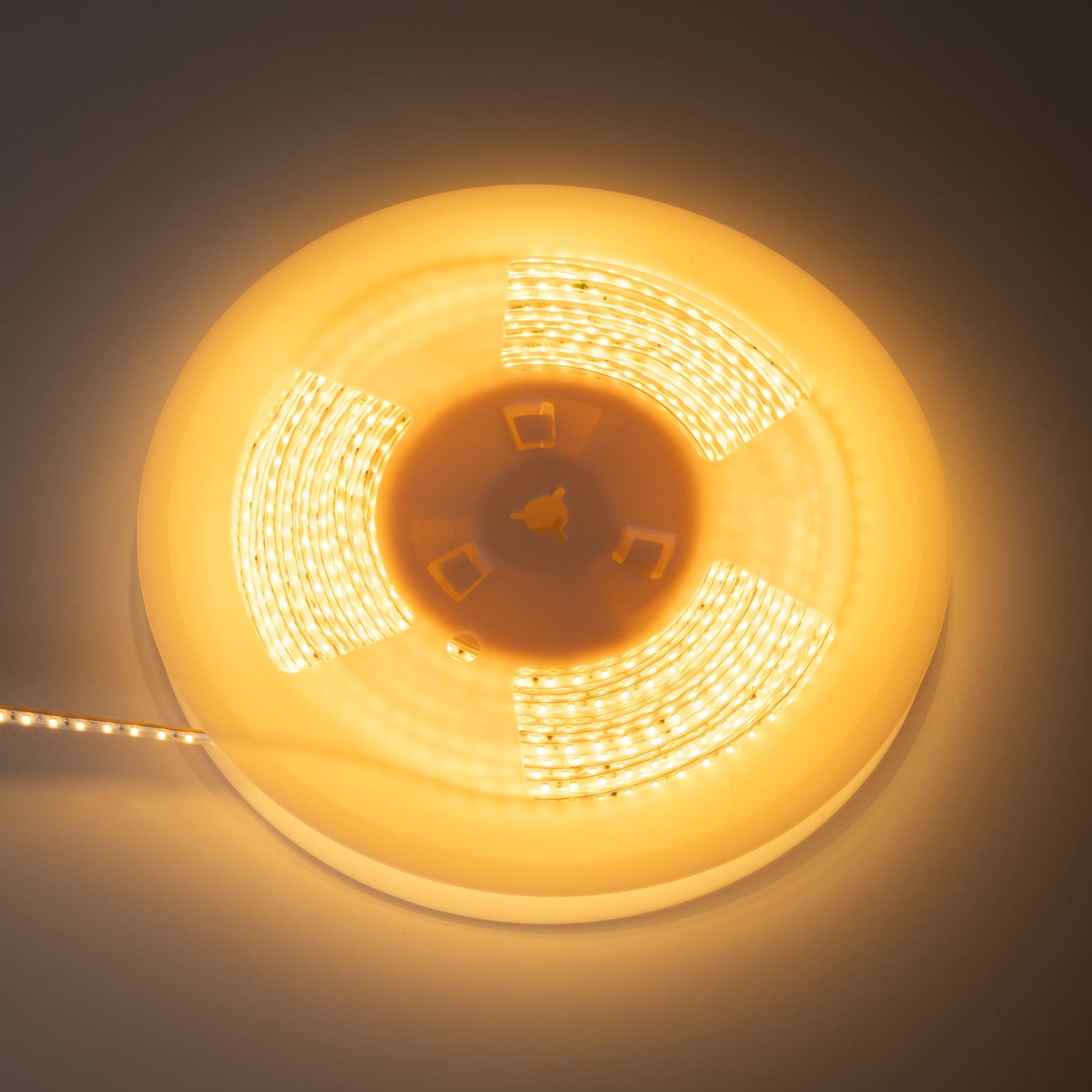 Tira LED 220V AC - Monocolor - 8W/m - 6.5mm - IP44 - 20 metros - 120ch/m