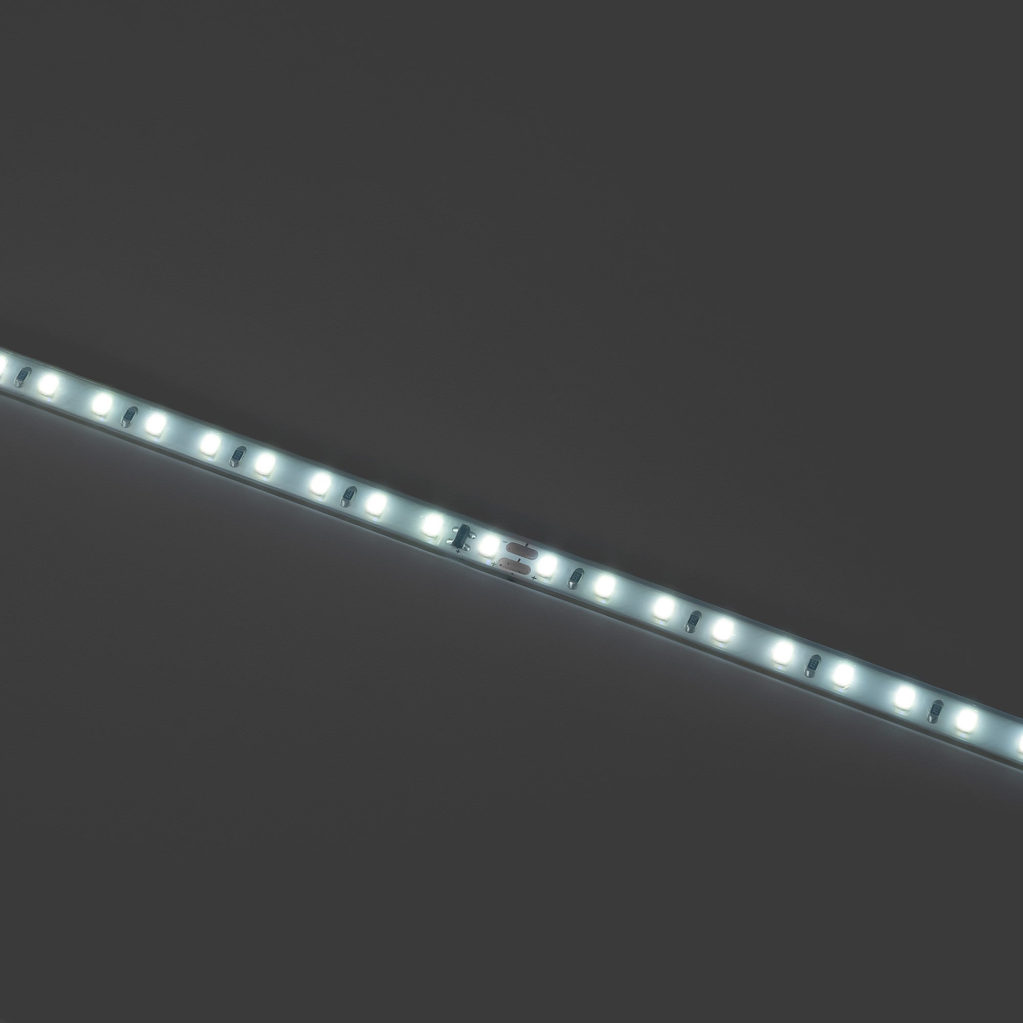 Tira LED 220V AC - Monocolor - 8W/m - 6.5mm - IP44 - 20 metros - 120ch/m