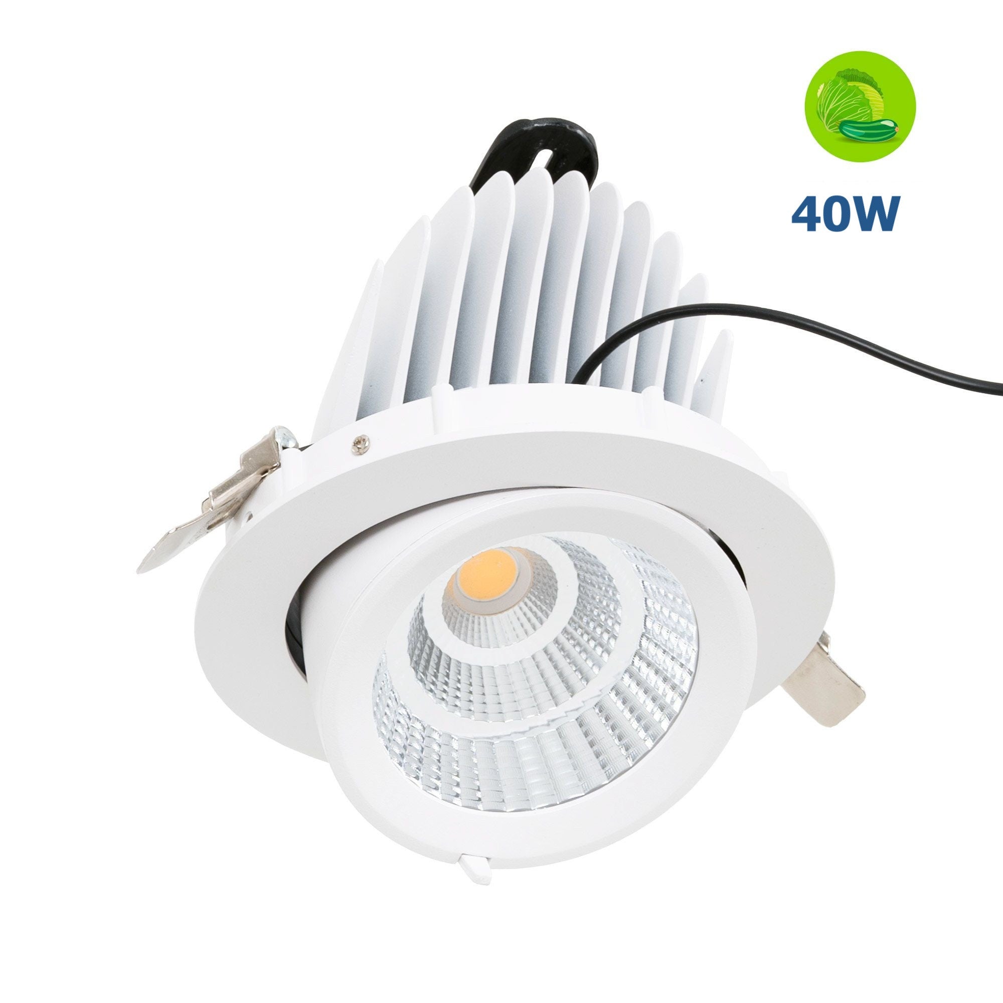 Downlight LED basculante empotrable - Chip especial para comercios - 40W
