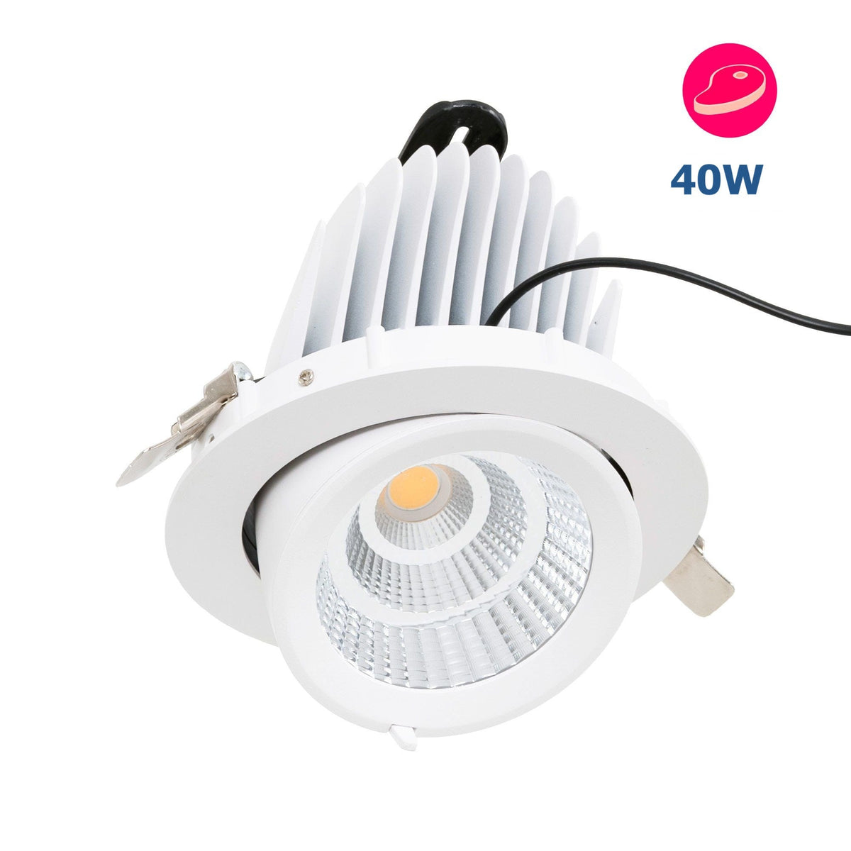 Downlight LED basculante empotrable - Chip especial para comercios - 40W