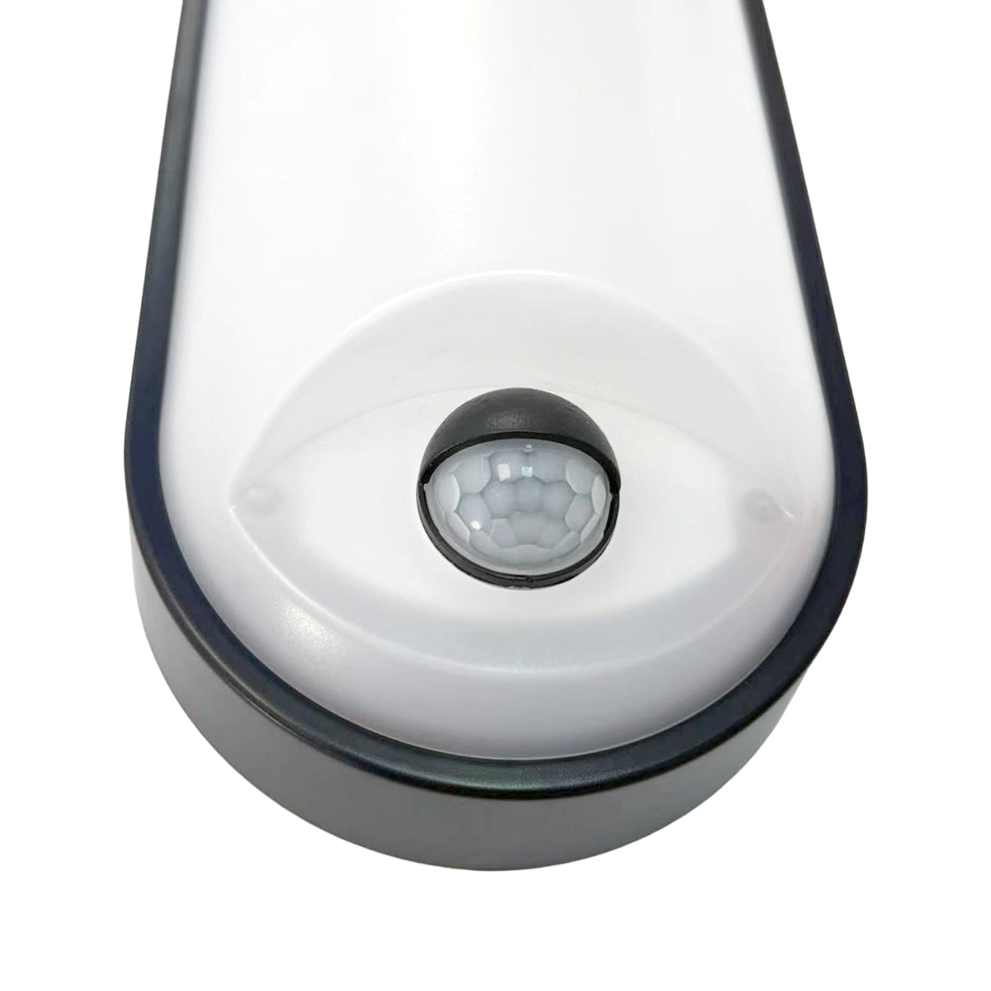 Plafón LED exterior ovalado con sensor PIR - 15W - CCT - IP65