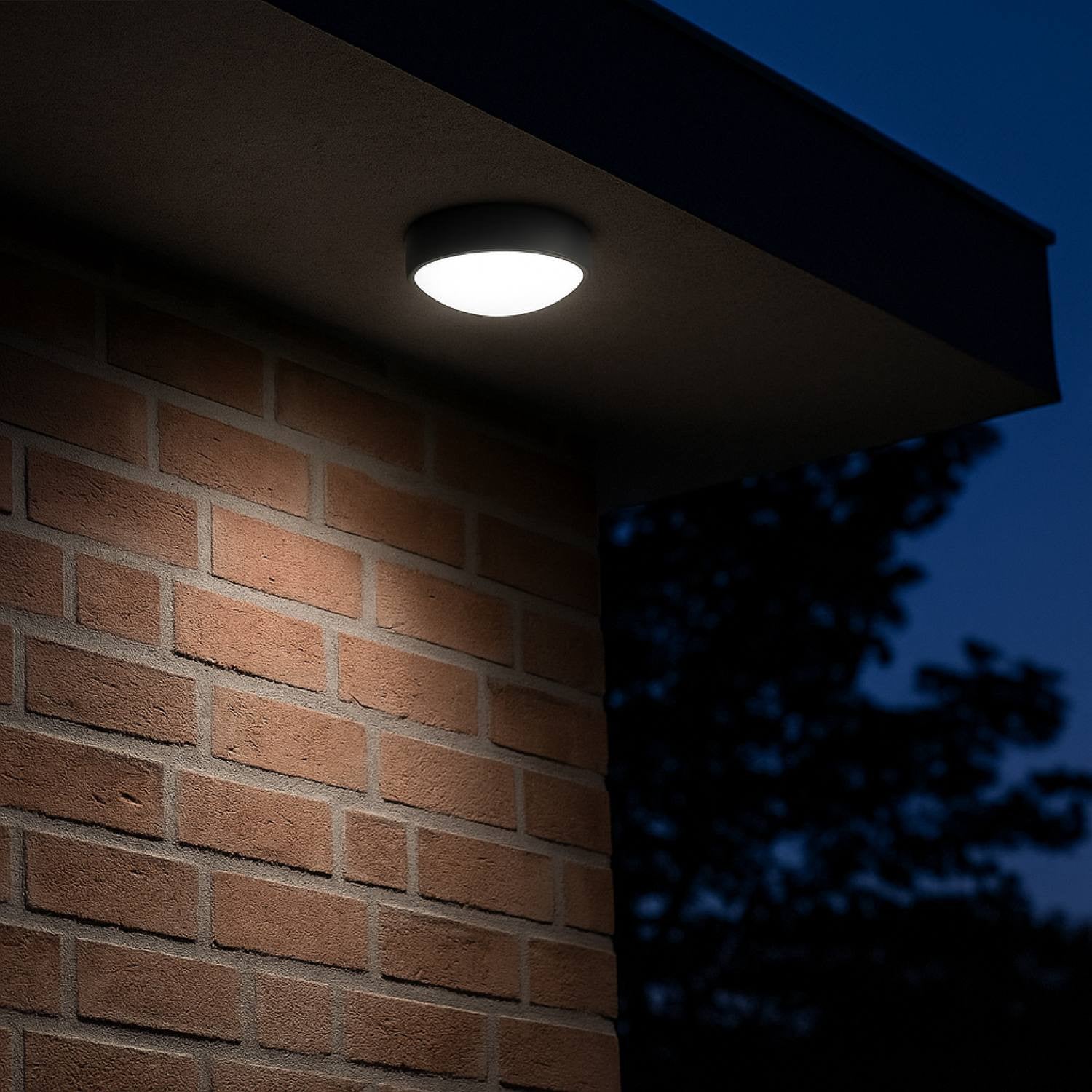 Plafón LED exterior redondo con sensor PIR - 20W - CCT - IP65
