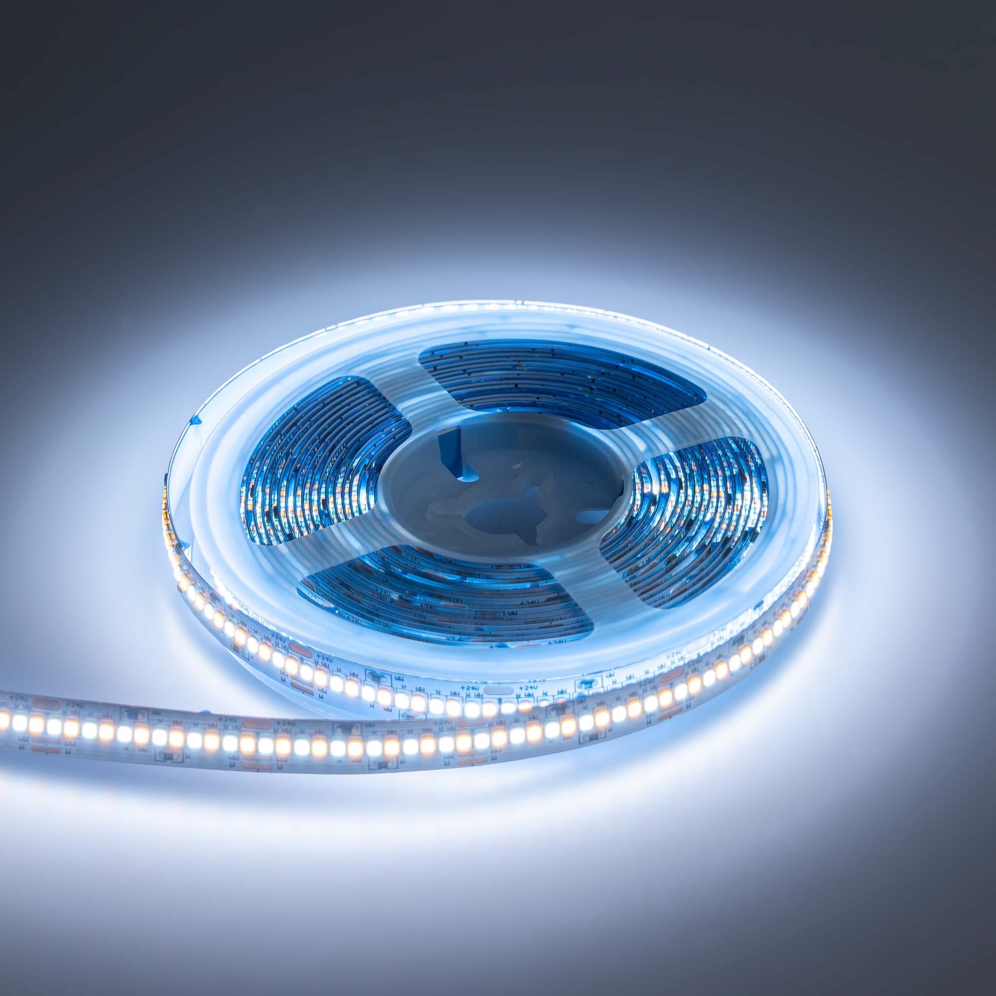 Tira LED SMD2216 - CCT - 24V DC - 30W/m - 10mm - IP20 - 5 metros