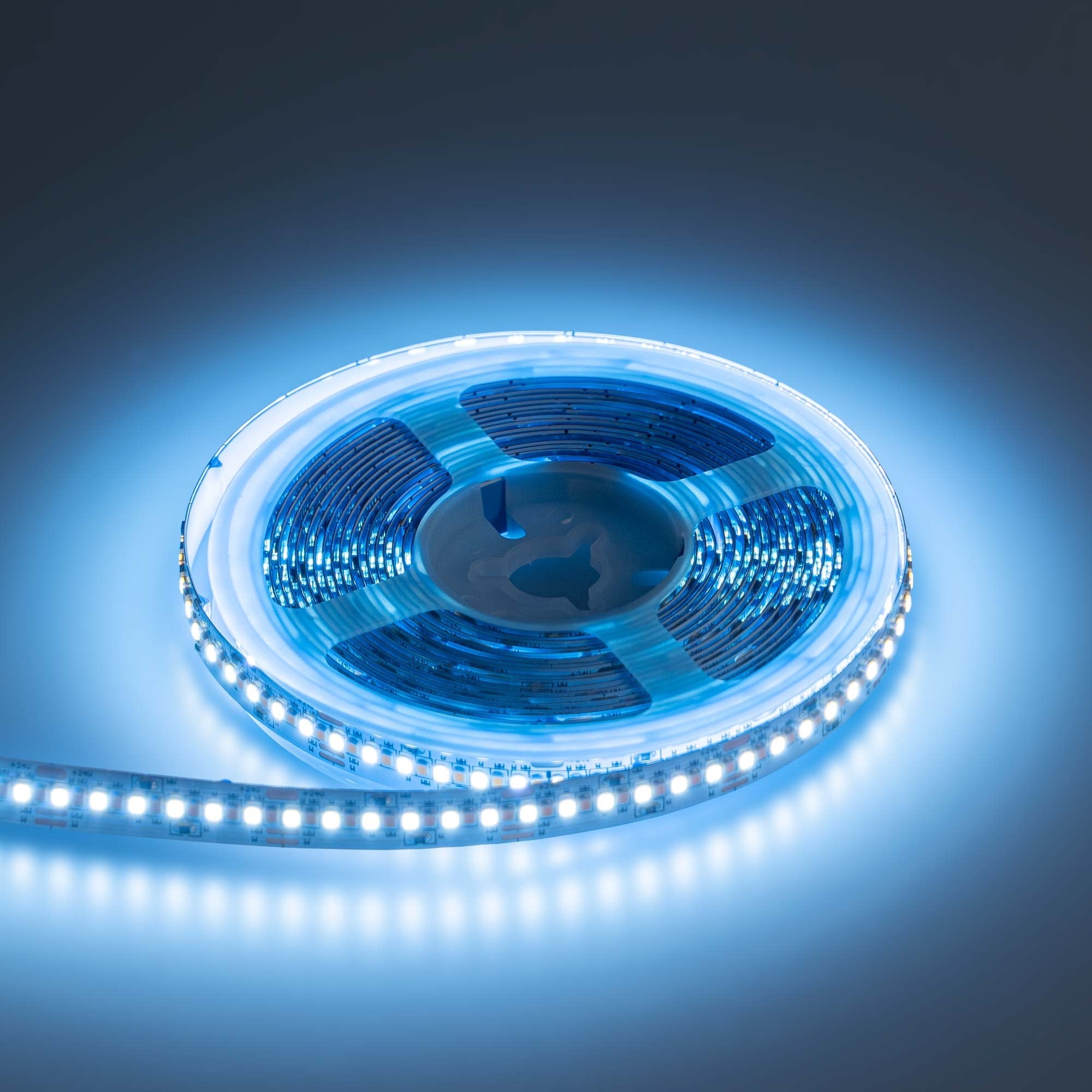 Tira LED SMD2216 - CCT - 24V DC - 30W/m - 10mm - IP20 - 5 metros