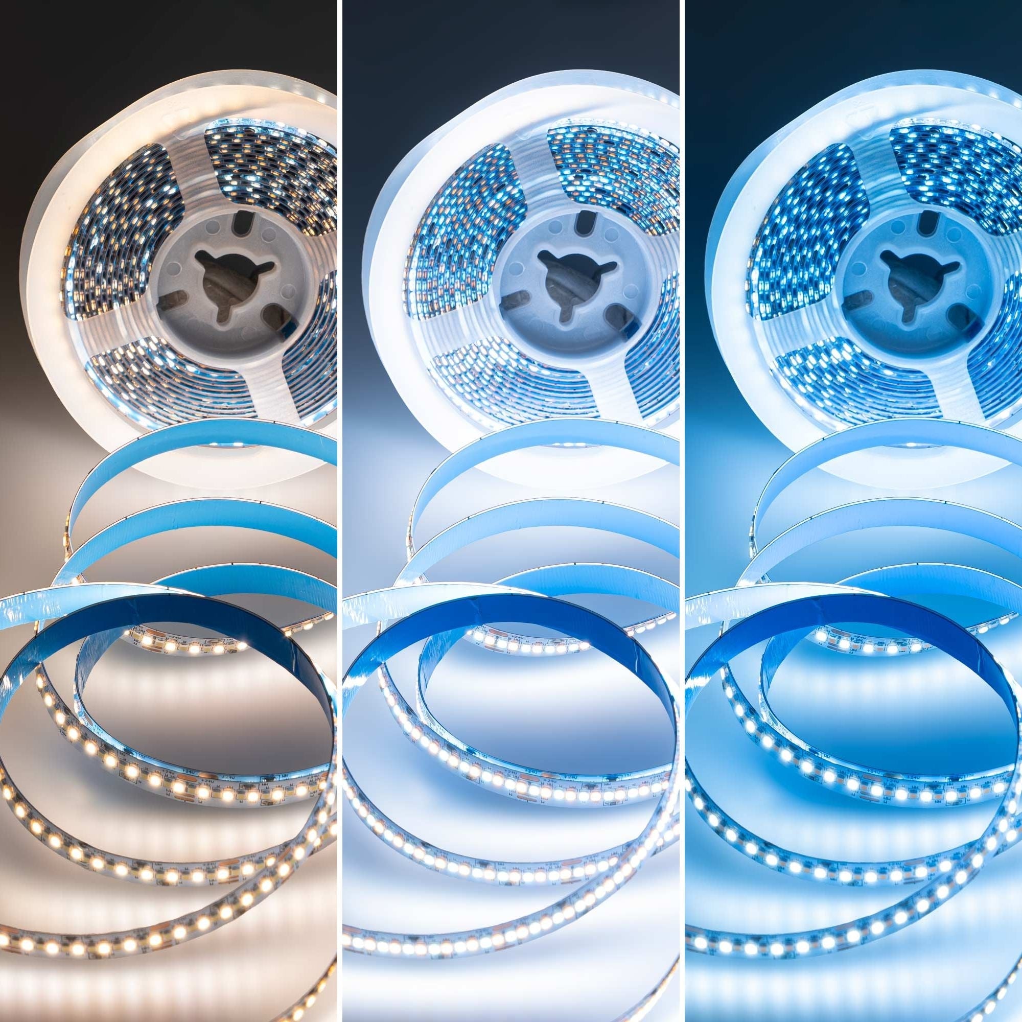 Tira LED SMD2216 - CCT - 24V DC - 30W/m - 10mm - IP20 - 5 metros