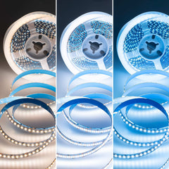 Tira LED SMD2216 - CCT - 24V DC - 30W/m - 10mm - IP20 - 5 metros