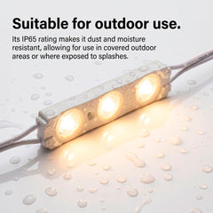 Módulo LED monocolor para rótulos - 1.2W - 12V - 160° - IP65
