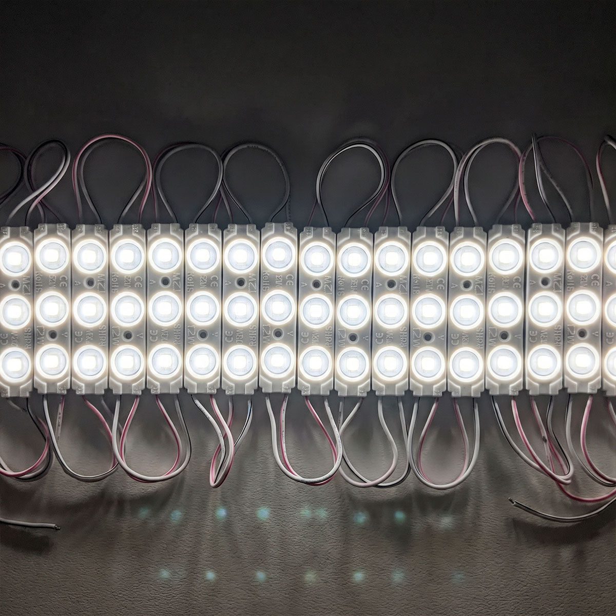 Módulo LED monocolor para rótulos - 1.2W - 12V - 160° - IP65