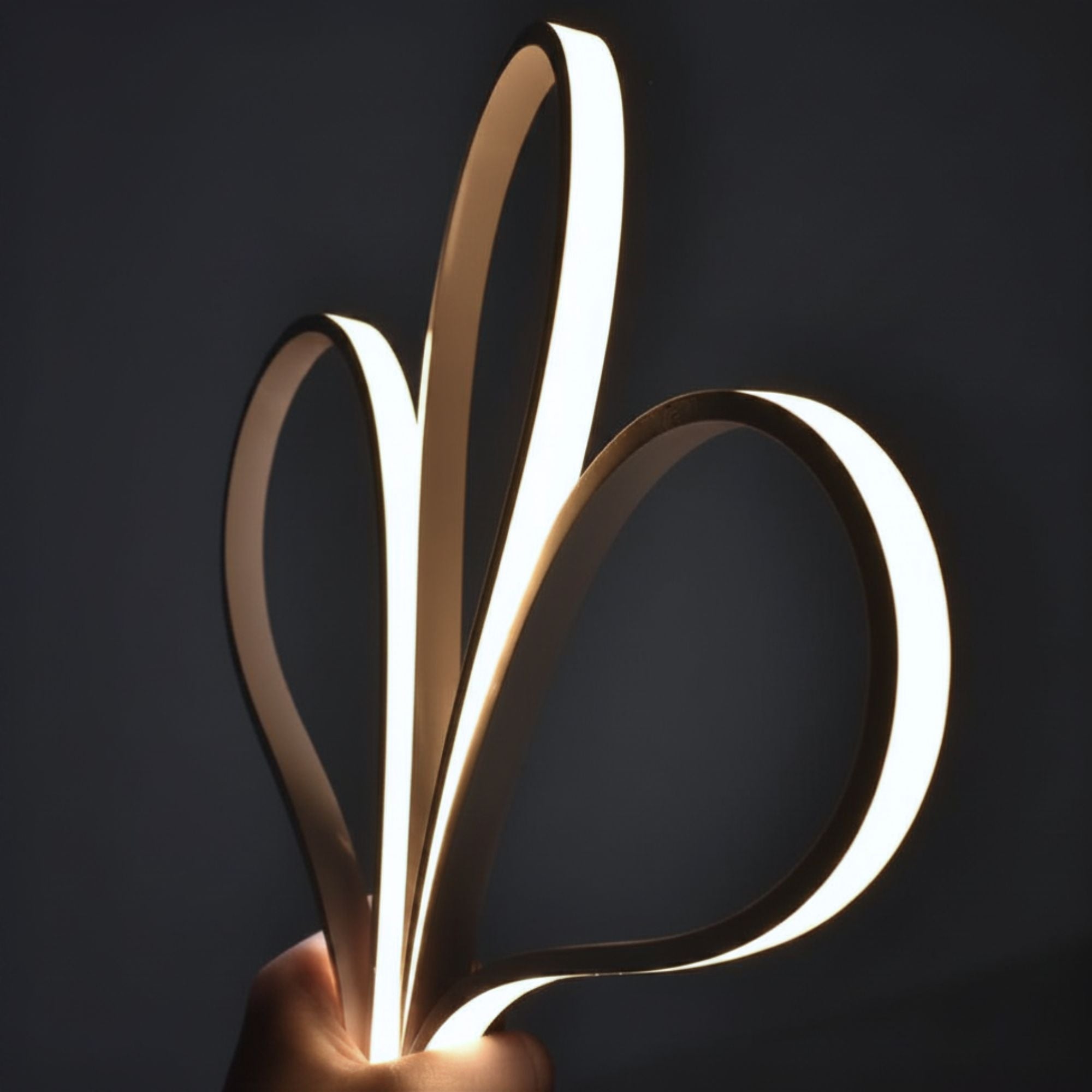 Neón LED flexible 24V DC - 5x11mm - 5 metros - Kit completo - 11W/m - 320ch/m - IP67 - Curvatura vertical